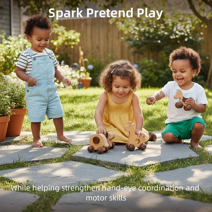 Wooden Push Car Toy Set（4pcs）