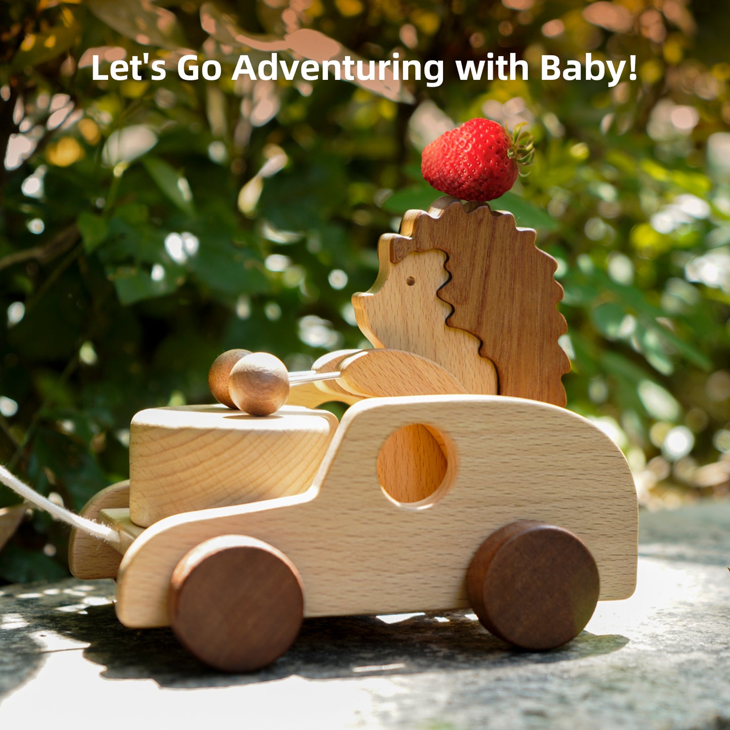 Hedgehog Pull-Along Toy