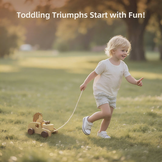 Hedgehog Pull-Along Toy