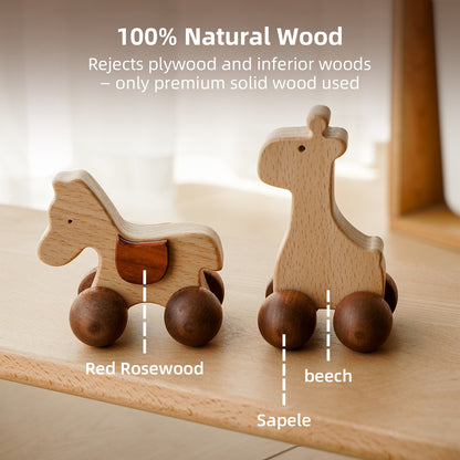 Wooden Push Car Toy Set（4pcs）